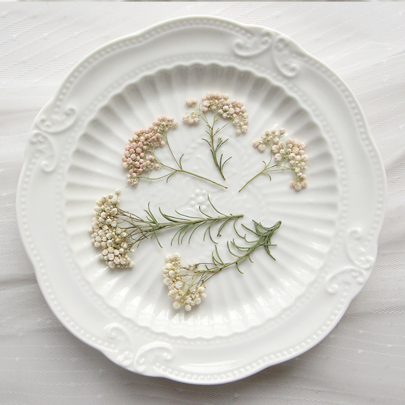 Dried Flower Bookmark - 12 ชิ้น กิ่งดอกไม้ธรรมชาติ กิ่งดอกไม้แห้ง DIY กาวติดเคสมือถือ